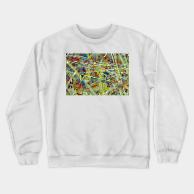 Colorful Raindrops On Grass Abstract Crewneck Sweatshirt by Debra Martz